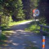 Rennrad BAy. Wald