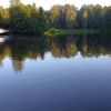 Radfahren Bay. Wald