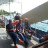 Rennrad Bay. Wald