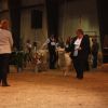 Alpaka-Show